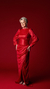 VESTIDO RED CARPET 2024