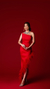 VESTIDO RED CARPET 2024 - Luxurius Brand