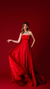 VESTIDO RED CARPET 2024 - comprar online