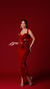 VESTIDO RED CARPET 2024