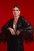 VESTIDO RED CARPET - comprar online