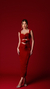 VESTIDO RED CARPET 2024 - comprar online