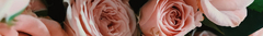 Banner de la categoría Florales