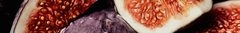 Banner de la categoría Frutales