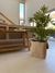 PLANTA bamboo - chepahome