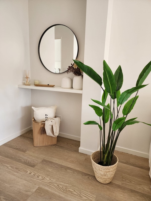 planta streliza