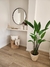 planta streliza