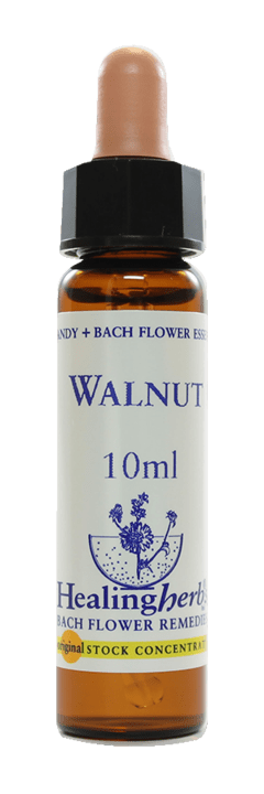 WALNUT FLORAL DE BACH 10ML - comprar online
