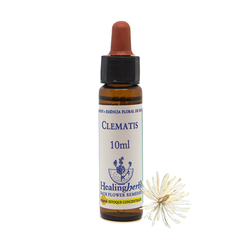 CLEMATIS FLORAL DE BACH 10ML