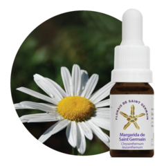 MARGARIDA SAINT GERMAIN 10ML