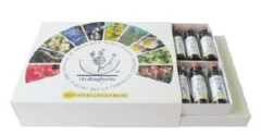 KIT FLORAIS DE BACH 10ML