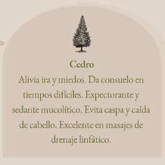 Esencia Natural para Aromaterapia - CEDRO - 10 CC - comprar online