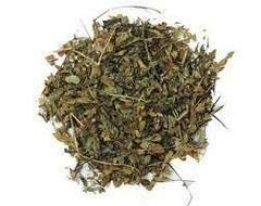 Culantrillo