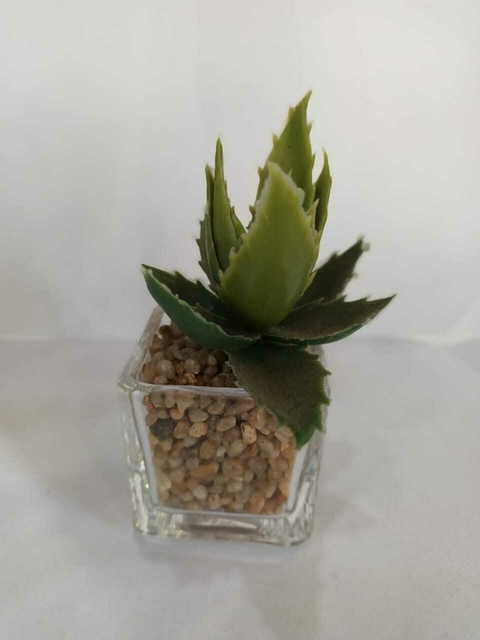PLANTA TIPO ALOE 12 CM - 941l