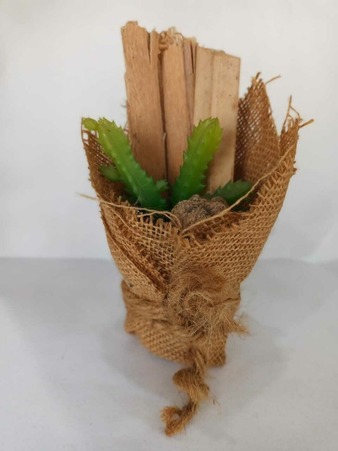 CACTUS SUCULENTAS BASE DE YUTE - EV015004