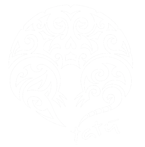 tatú instrumentos