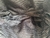 TOTE OMBRE - comprar online