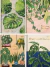 CADERNO CD UNIV NATURALIS 10M 160F TILIBRA