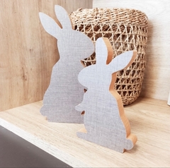 Duo de conejitos