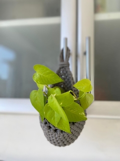porta maceta crochet - comprar online