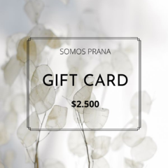 Gift Card $2.500