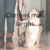 Banner de WUF!