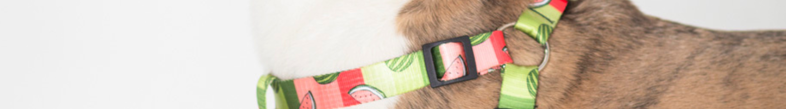 Banner de la categoría Productos