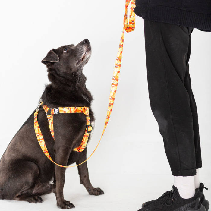 Banner de WUF!