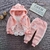 CONJ. BEBÊ FEM. 3 PEÇAS GATINHA ROSA LC0391 na internet