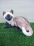PELÚCIA GATO SIAMÊS REALISTA 25CM LC0555 - comprar online