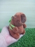 MINI PELÚCIA CAPIVARA CHAVEIRO C/ MOCHILINHA 12CM LC0468 na internet