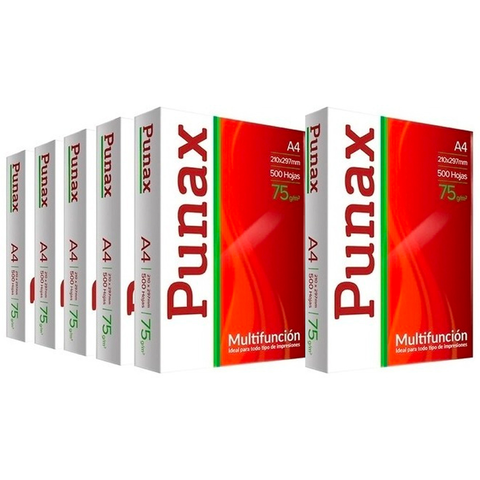 RESMA LEDESMA PUNAX 75 GRS. A4 (IRAM)