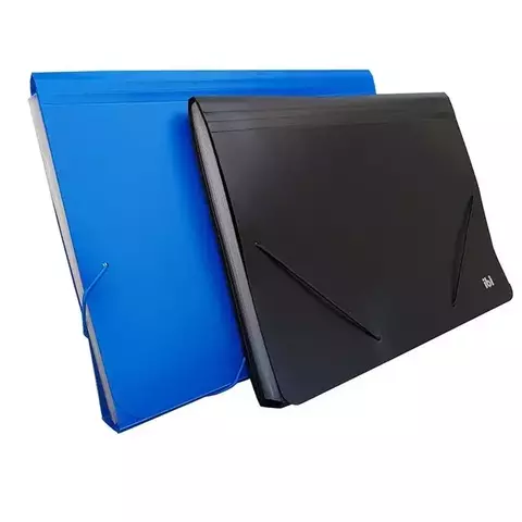 CLASIFICADOR PLASTICO A4 12 DIV.