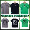 Remeron Kids Minecraft NO GENDER