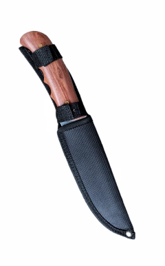 Cuchillo Puñal Beetle Acero Inoxidable - comprar online