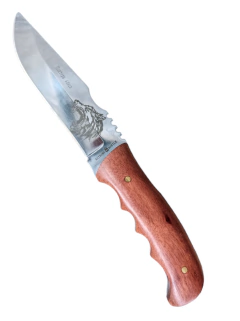 Cuchillo Puñal Beetle Acero Inoxidable en internet