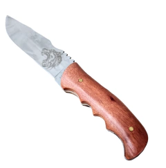 Cuchillo Puñal Beetle Acero Inoxidable - D&G REGALERÍA