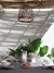 Mantel GRIS VISON 150X200