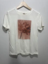REMERA KERRY - SAIL