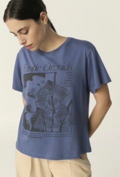 REMERA CLARISA - SAIL - comprar online