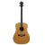 Violão Tagima TLM-100 NT - C/Bag
