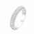 Anillo de Circones 1