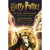 HARRY POTTER - E A CRIANÇA AMALDIÇOADA - PARTE 1 E 2 - O ROTEIRO ORIGINAL - ROTEIRO DEFINITIVO E FINAL - J.K. ROWLING - ROCCO