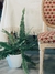 Mantel lienzo de algodón y flecos