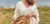 Banner de Carmín