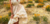 Banner de Carmín