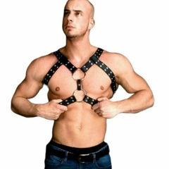 BOR050 Pectoral TAURO