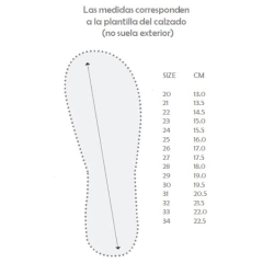 Bota Darwin Musgo en internet