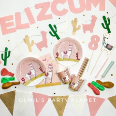 PARTY BOX LLAMA Y CACTUS