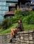 NARITA BY HEYAS NEGRO - tienda online